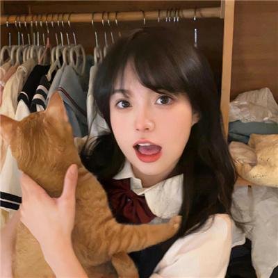 角落里的阳光