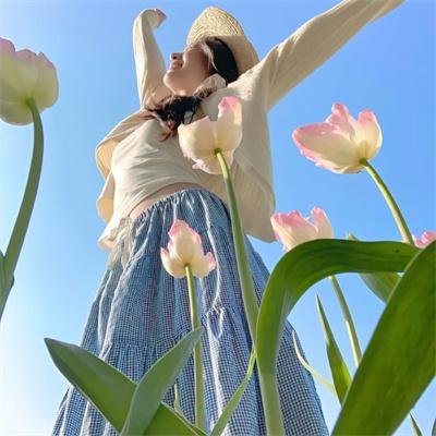 遛鸟家族